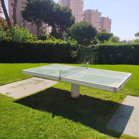 Daire Playamar Pool