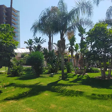Daire Playamar Pool Torremolinos